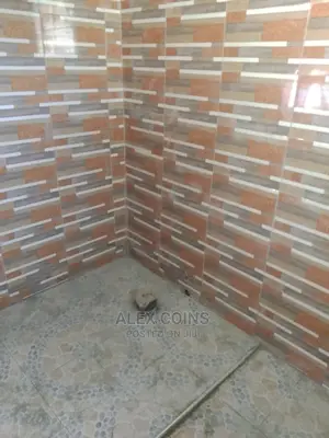 Professional Tiler