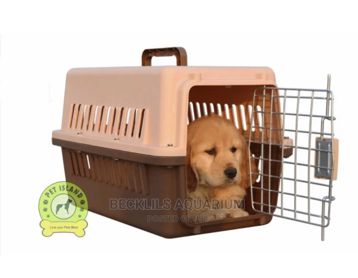 Plastic Dog Cages
