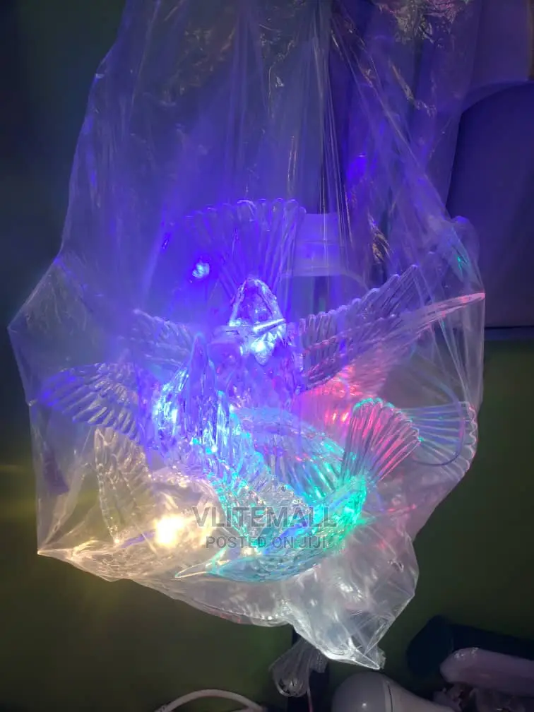 ZJ Birds Christmas Light