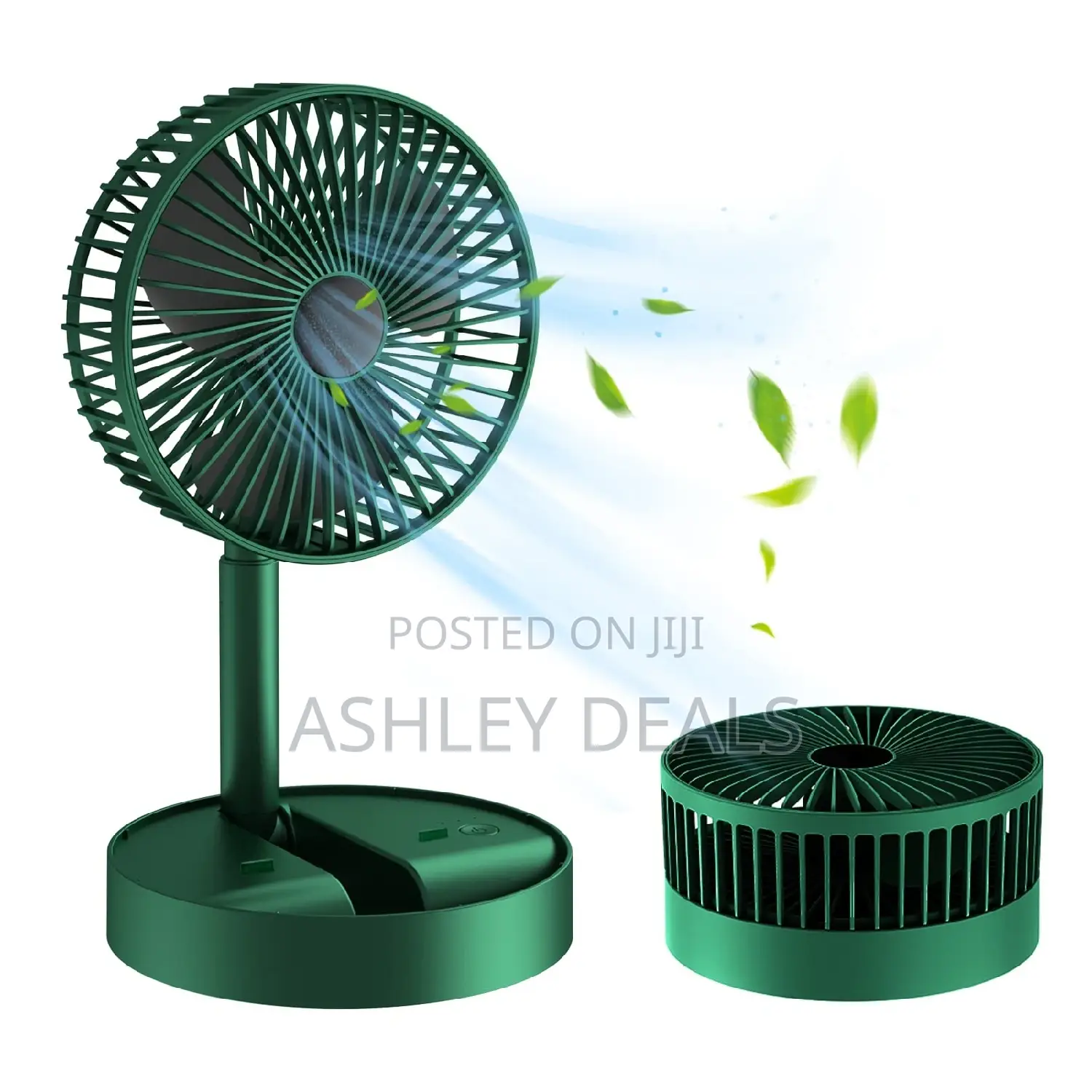 Folding Fan