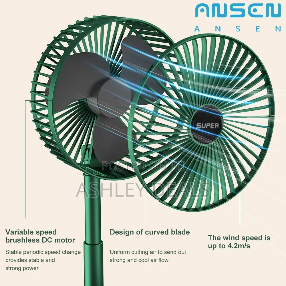 Folding Fan
