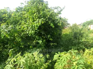 Over 1,000 Acres Titled Land Extended to Dodowa