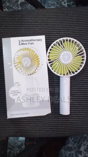 Holding Fan