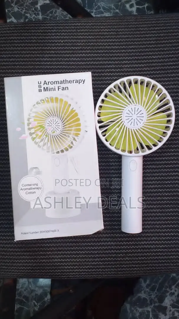 Holding Fan