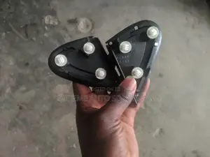Lexus Rx 350 Mirror Pad