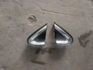 Lexus Rx 350 Mirror Pad