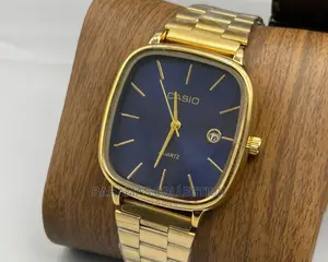 Casio Watch