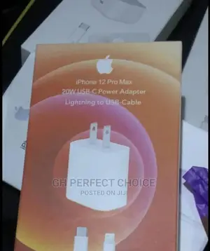 Strng iPhone Type C Charger