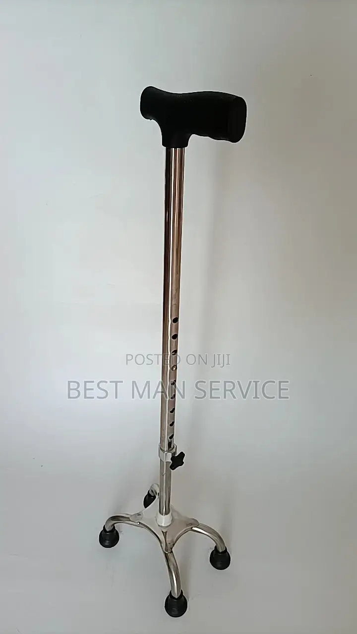 Hand Walking Stick