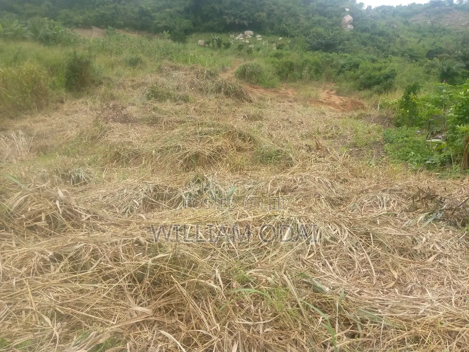 Half Plot at Dodowa