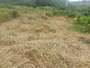 Half Plot at Dodowa