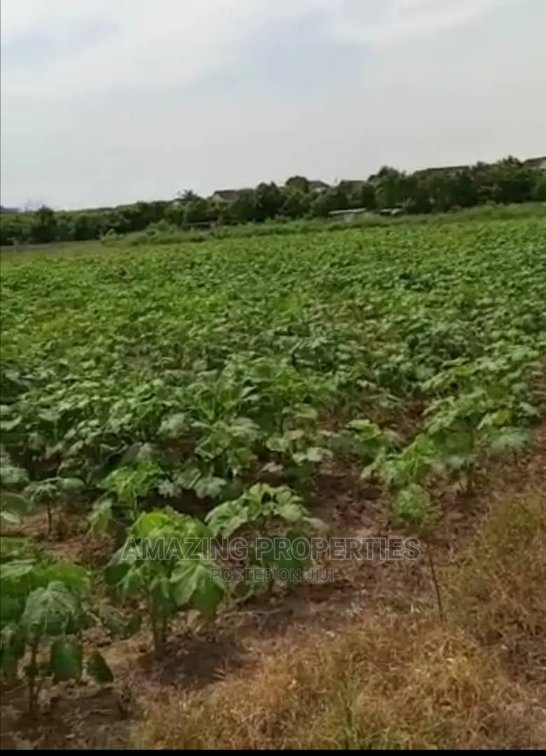 8 Acres of Land for Sale at Airport Police