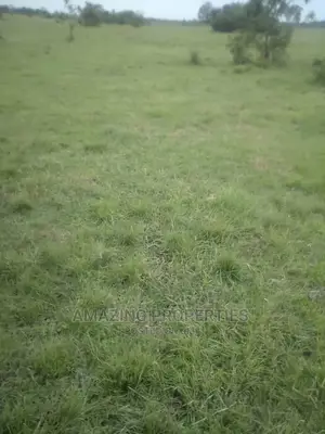8 Acres of Land for Sale at Airport Police