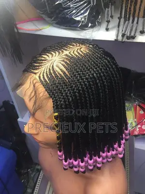 Braided Wig 006