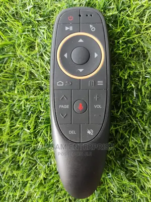 G10S Voice Function Remote