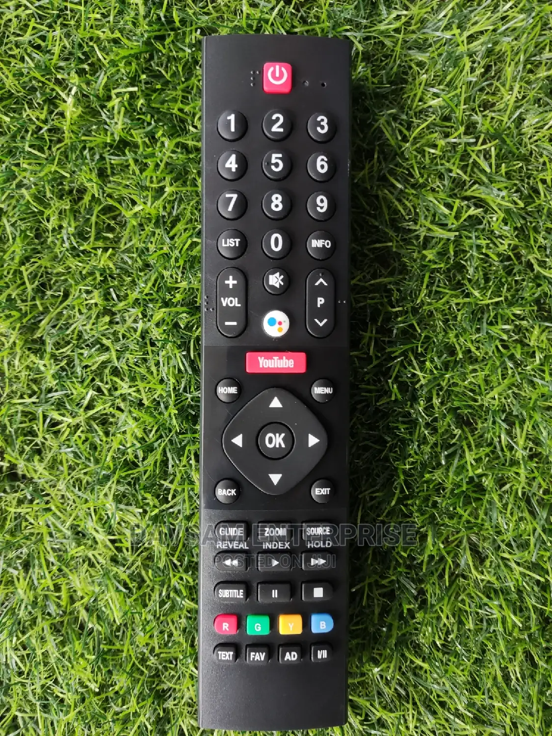 Panasonic Voice Remote 