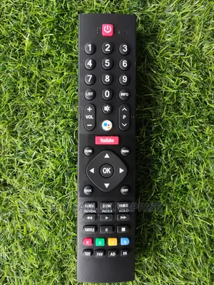 Panasonic Voice Remote 