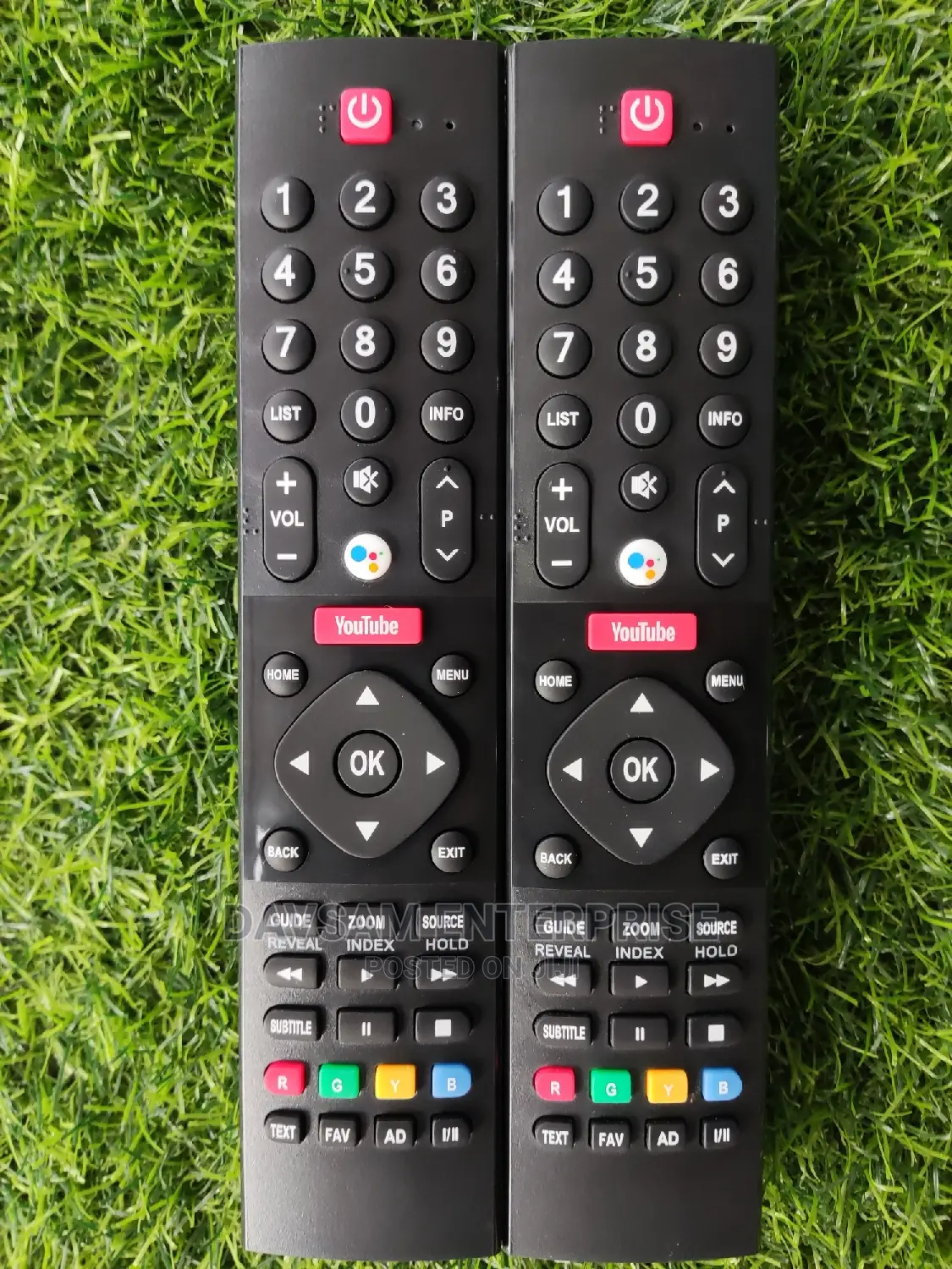 Panasonic Voice Remote 