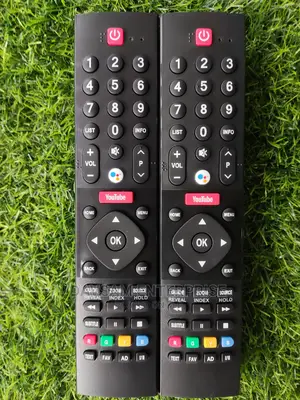Panasonic Voice Remote 