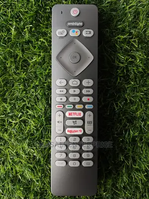Phillips Voice Function Remote 