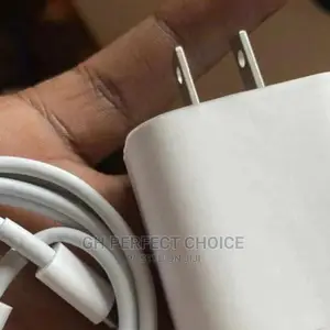 Tremendous Type C iPhone Fast Charger for All iPhone