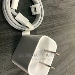 2 Pin Plug Original Type C iPhone Fast Charger