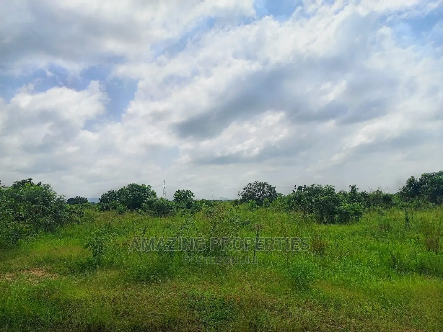 Asutuare Land for Sale.* 
2000 Acres of Title Registrations