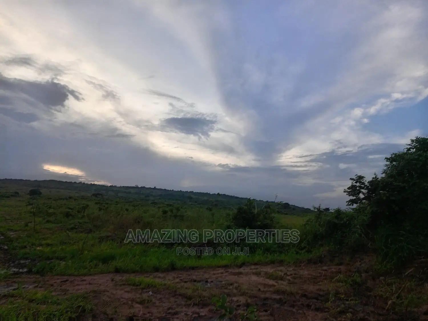 Asutuare Land for Sale.* 
2000 Acres of Title Registrations
