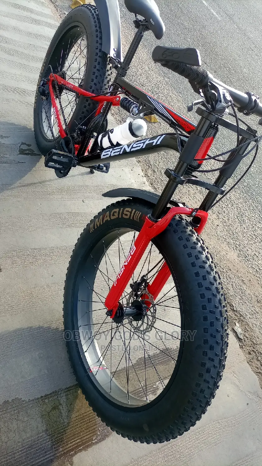 VIP Giant Mountain Bike