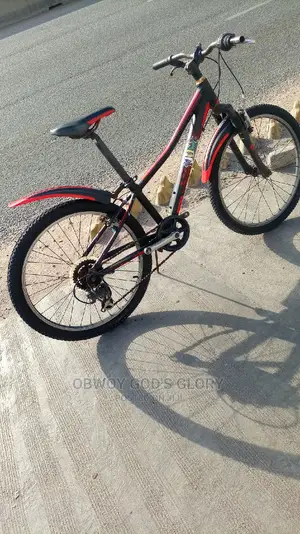 My Giant Black Bike