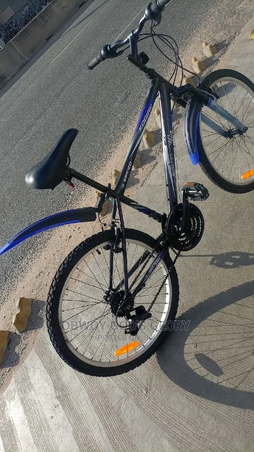 Black Sporty Special Bike