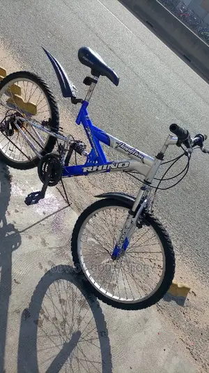 Ash Blue Spring Bike