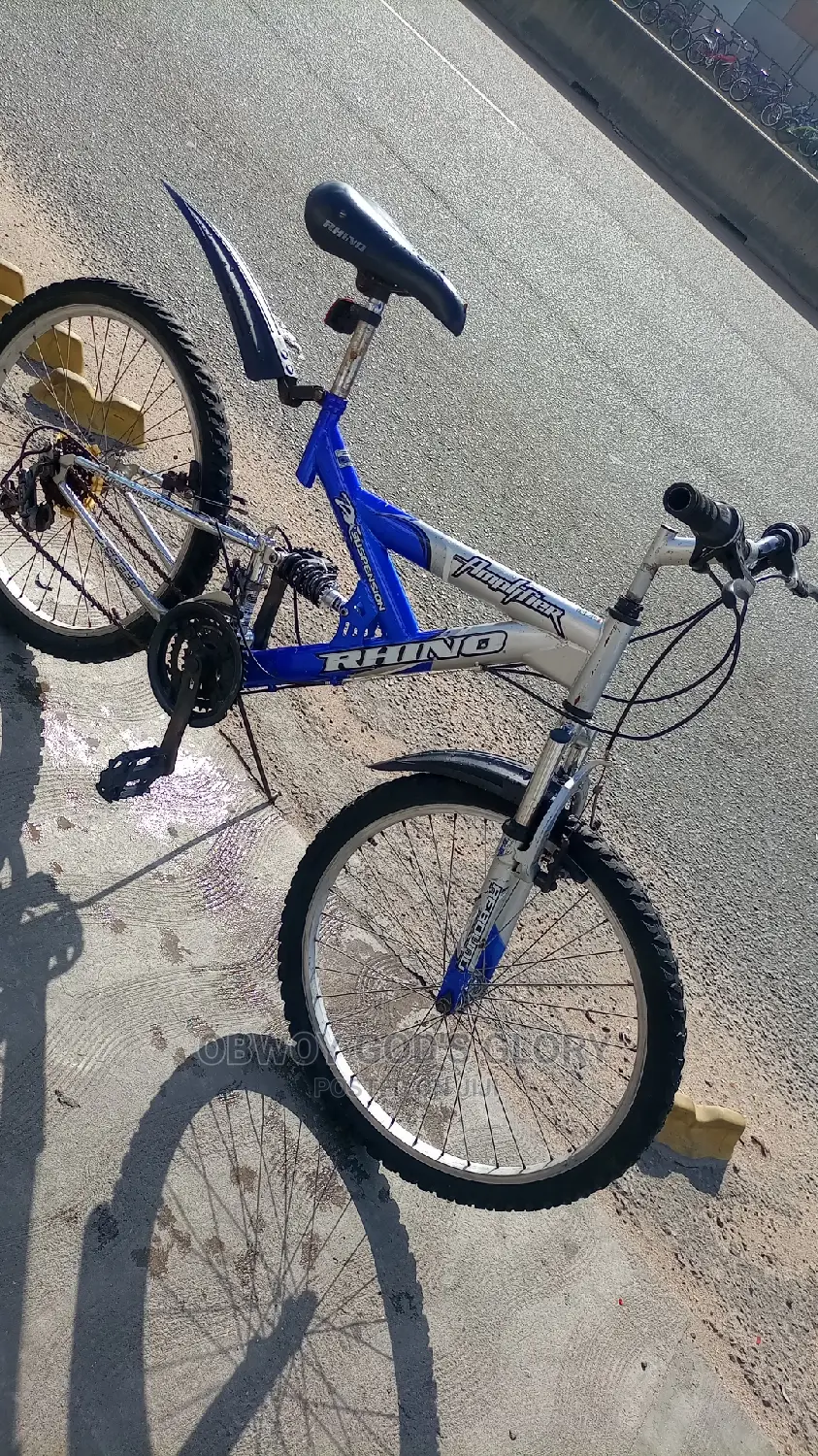 Ash Blue Spring Bike