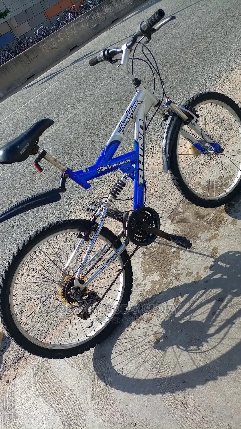 Ash Blue Spring Bike