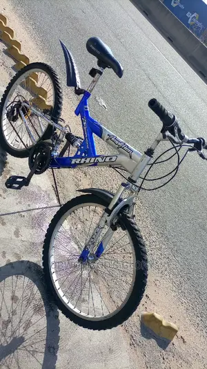 Ash Blue Spring Bike