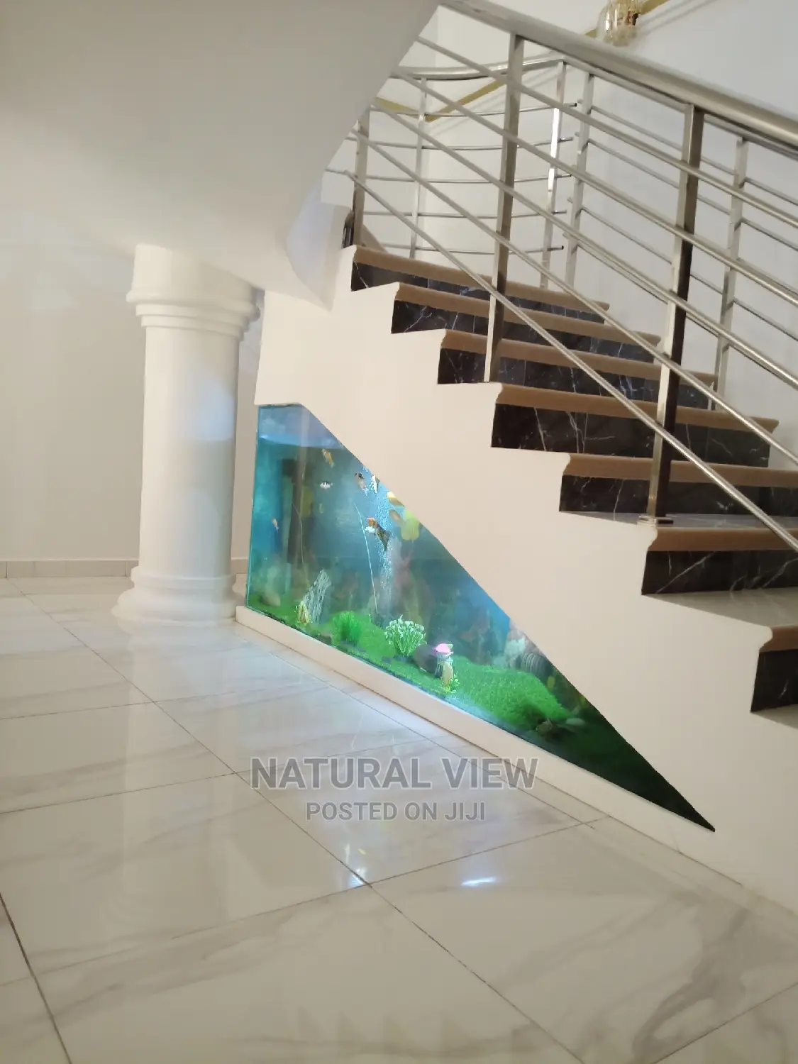 Aquarium Under Stairs