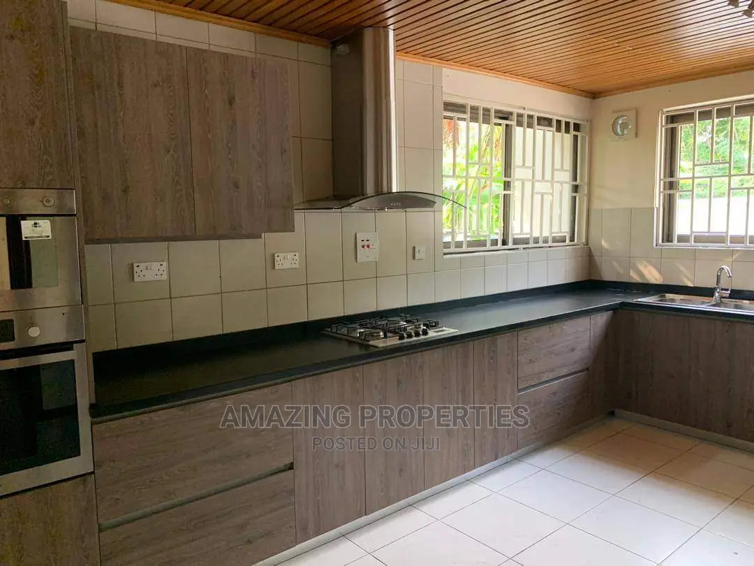 Furnished 4bdrm Farm House in Cantonments for Rent