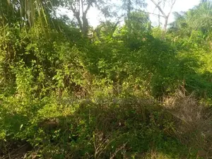 W/R, Takoradi (Apowa) _ 10 Plots of Building Land