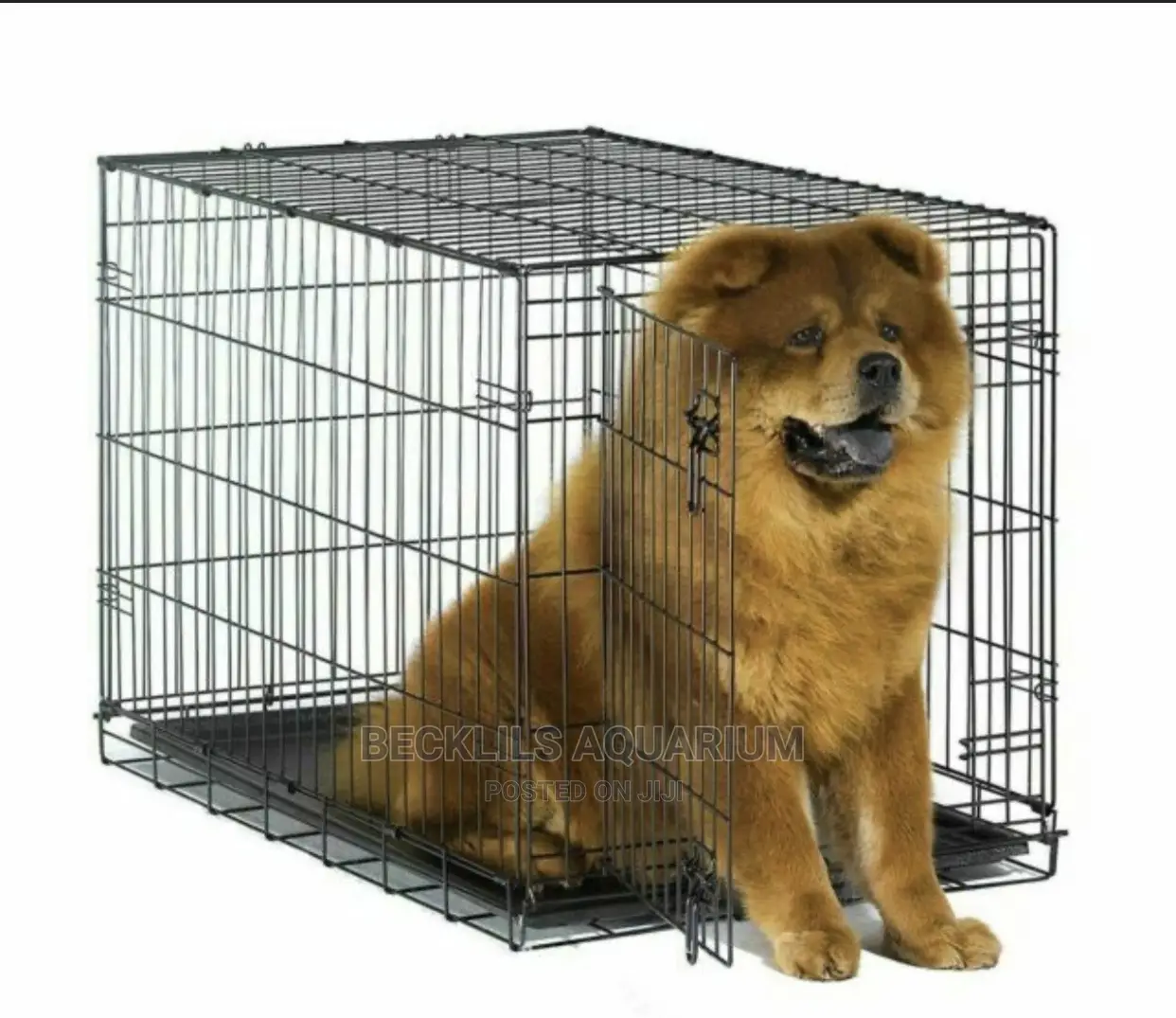 Black Metallic Dog Cages