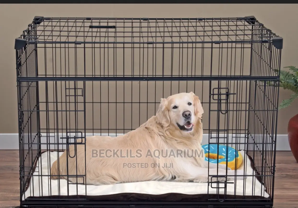 Black Metallic Dog Cages