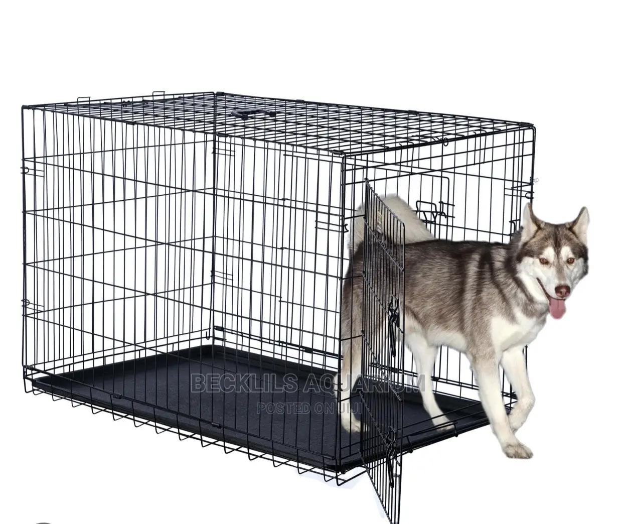 Black Metallic Dog Cages