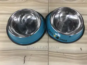 Bowls for Dogs and Cat