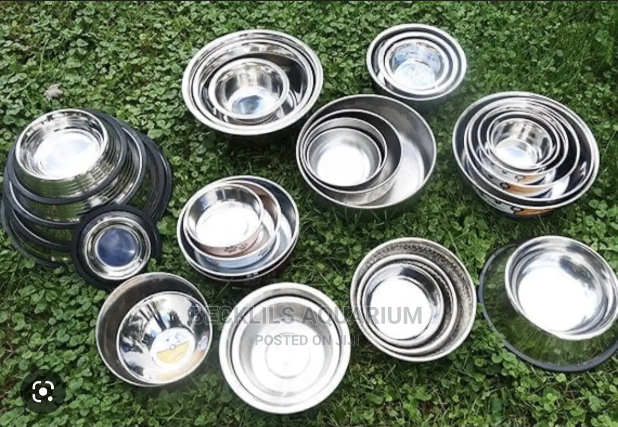 Dog and Cat Eating Bowls