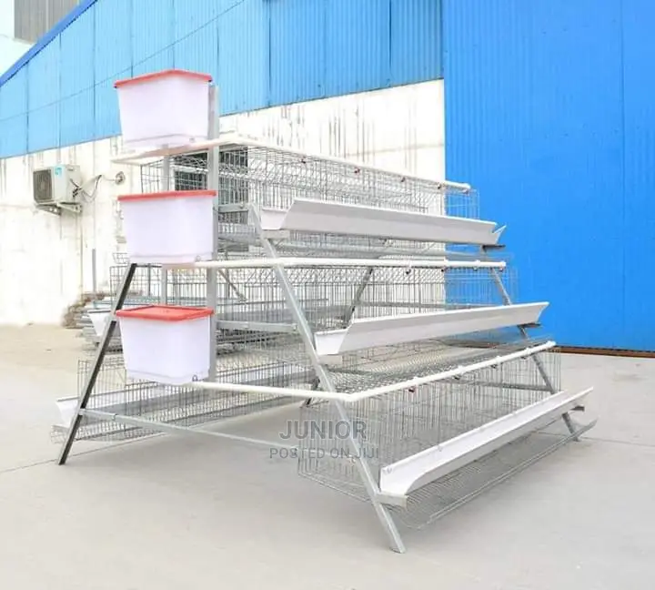Water Basin for Free Range and Cage Animal / Poultry Farming