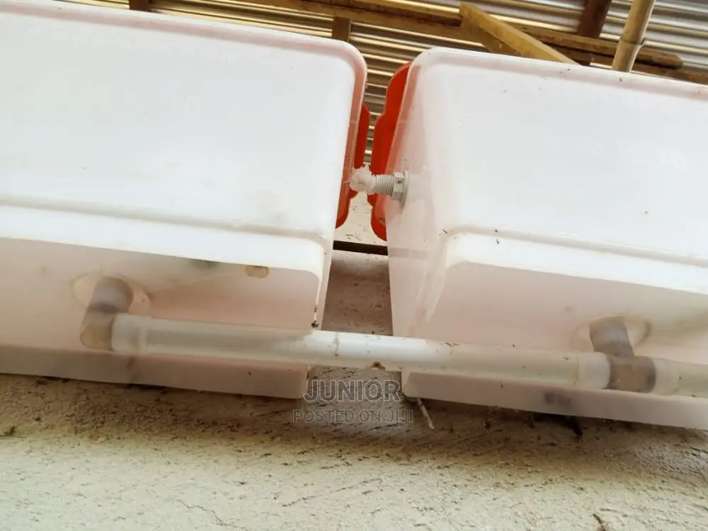 Water Basin for Free Range and Cage Animal / Poultry Farming
