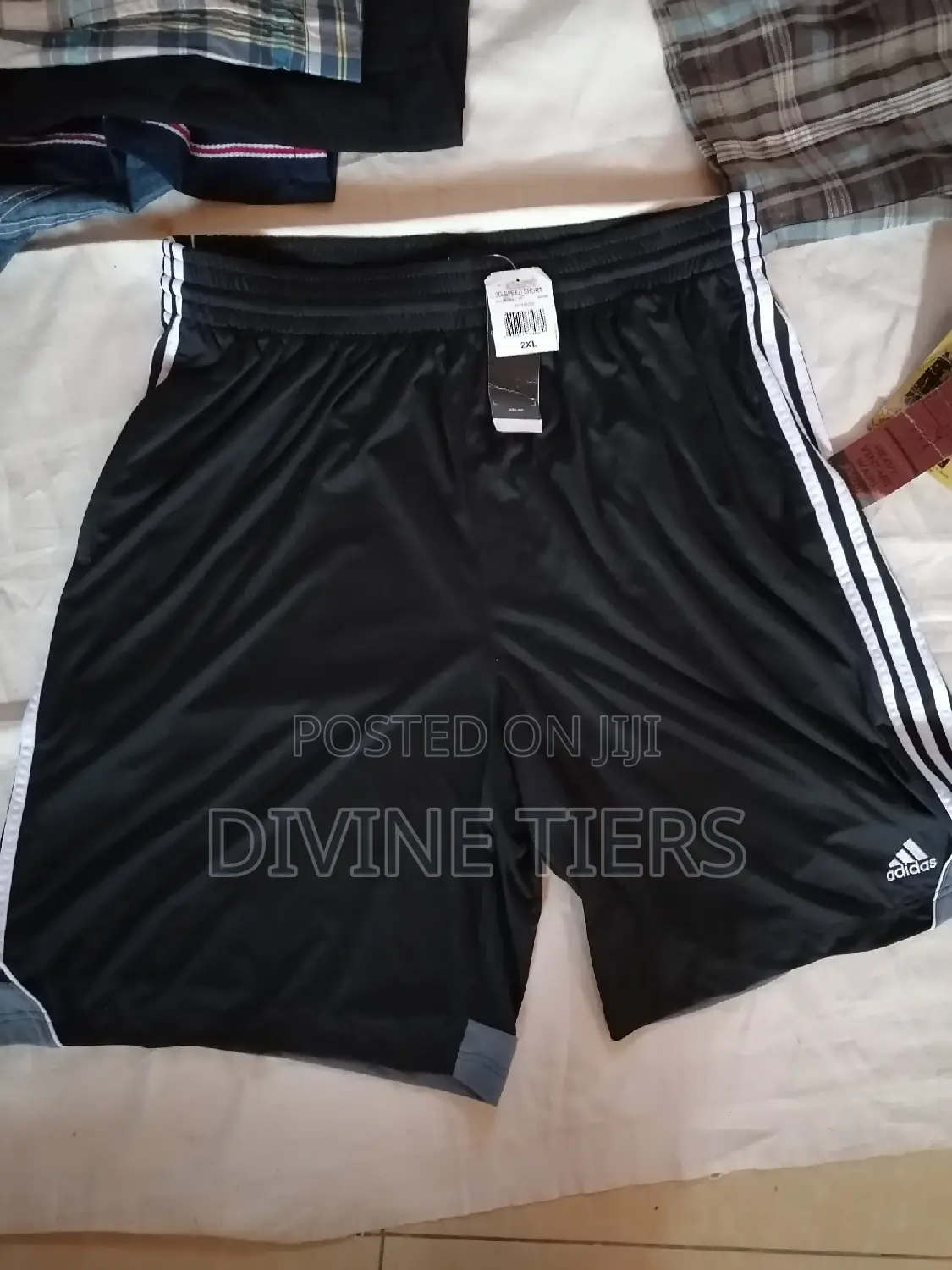 Summer and Beach Short