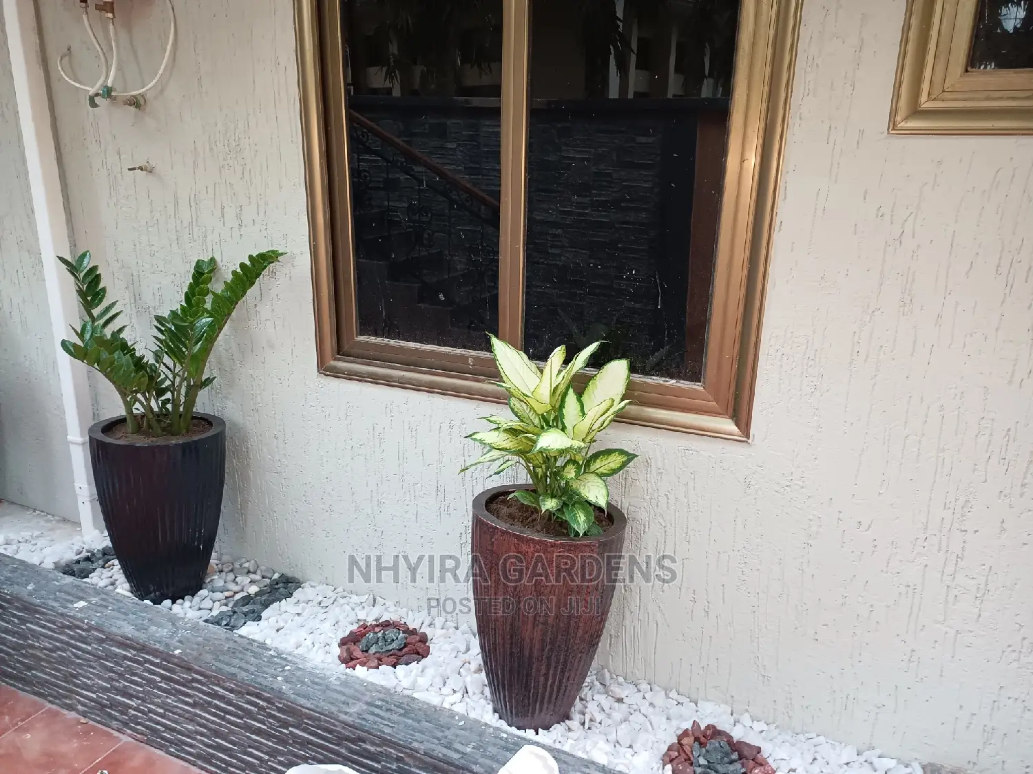 Modern Flowers Pots