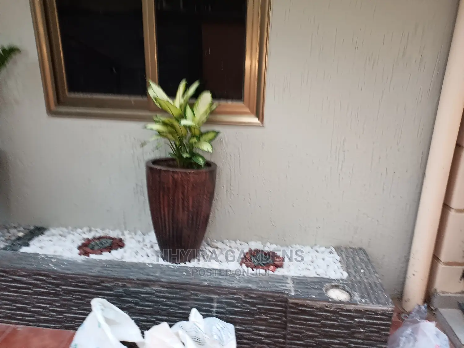 Modern Flowers Pots