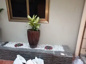 Modern Flowers Pots