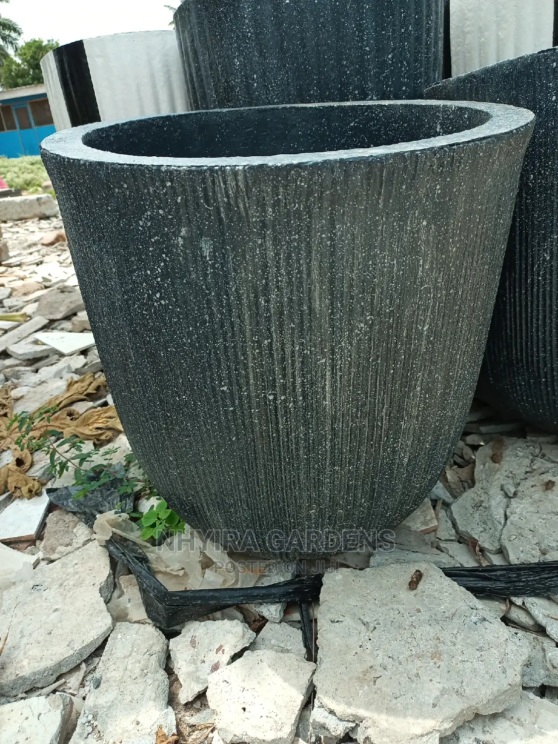 Modern Flowers Pots